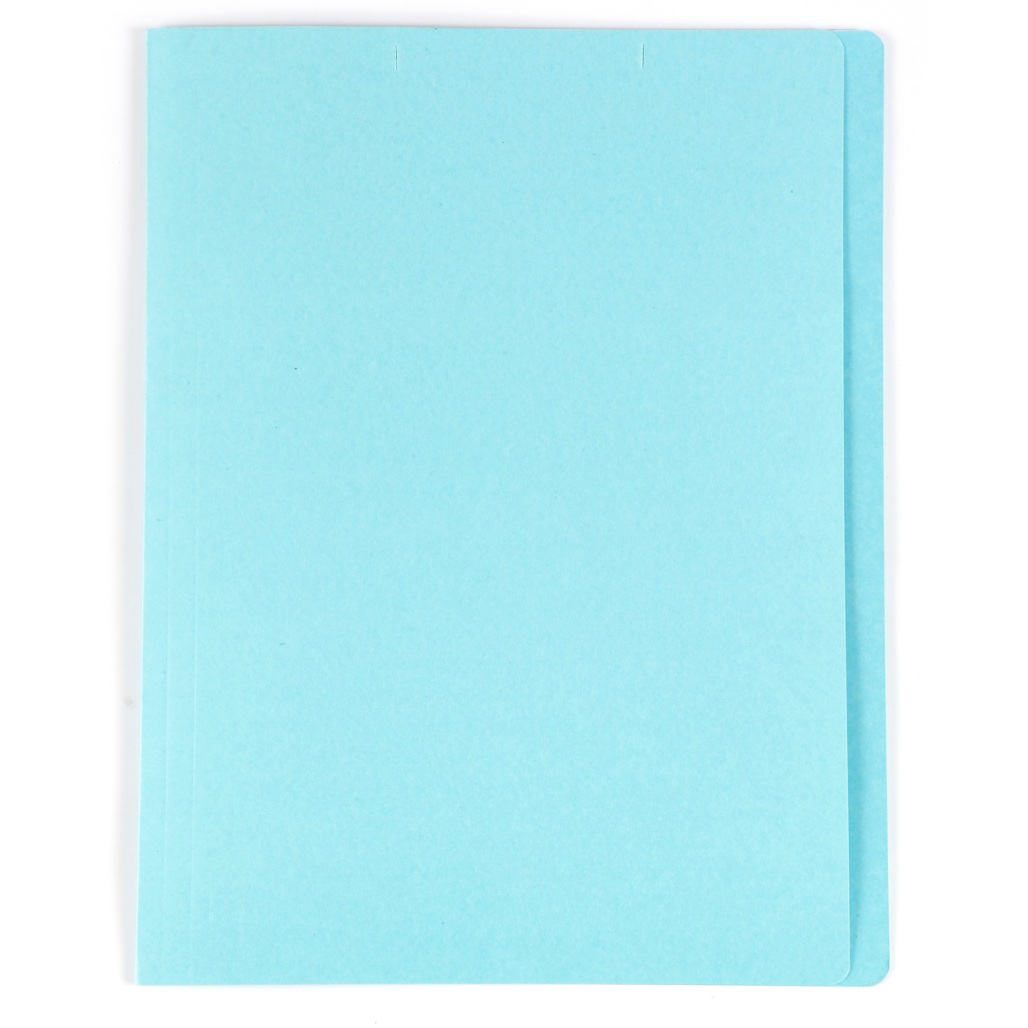 Baipo File Folder A4 Blue Paper Folder